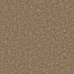 Kingston Elite Carpet By Cormar