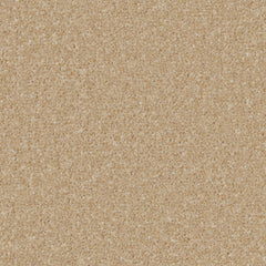 Kingston Elite Carpet By Cormar