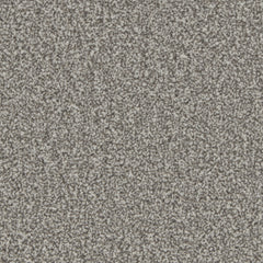 Kingston Elite Carpet By Cormar