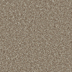 Kingston Elite Carpet By Cormar