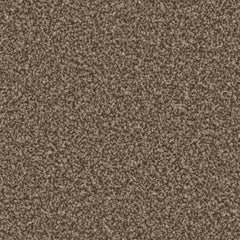 Kingston Elite Carpet By Cormar