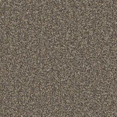 Kingston Elite Carpet By Cormar