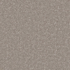 Kingston Elite Carpet By Cormar