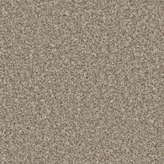 Kingston Elite Carpet By Cormar