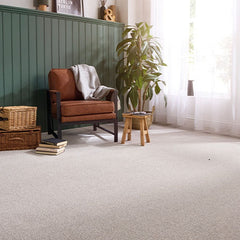 Stainfree Knightsbridge Berber by Abingdon