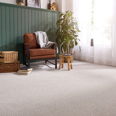 Stainfree Knightsbridge Berber by Abingdon