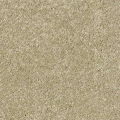 Stainfree Sophisticat by Abingdon