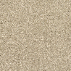 Stainfree Caress Carpet by Abingdon