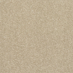 Stainfree Finesse Carpet by Abingdon