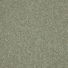 Stainfree Knightsbridge Berber by Abingdon