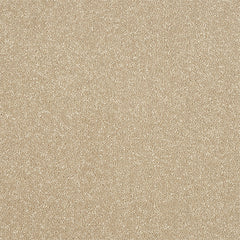 Staifree Ultra Carpet by Abingdon