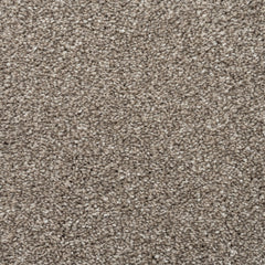Vision Luxury Saxony Actionback Carpet