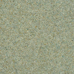 Charter Berber Deluxe Wilton Royal Carpet by Abingdon