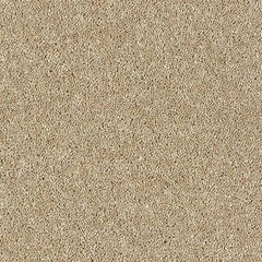 Royal Charter Deluxe Wilton Royal Carpet by Abingdon