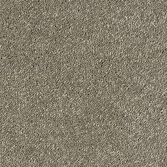 Stainfree Sophisticat by Abingdon