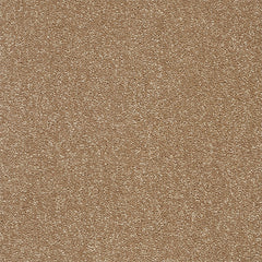Stainfree Twist Carpet by Abingdon