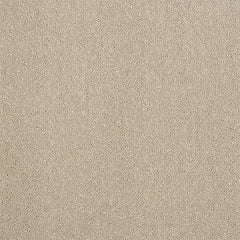 Stainfree Captivation Carpet by Abingdon