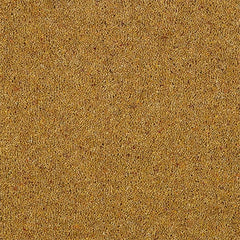 Charter Berber Deluxe Wilton Royal Carpet by Abingdon