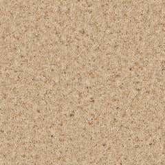 Natural Berber Elite Carpet By Cormar