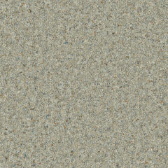 Natural Berber Elite Carpet By Cormar