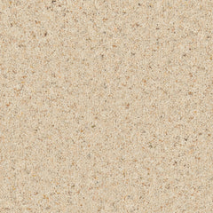 Natural Berber Elite Carpet By Cormar
