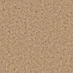 Natural Berber Elite Carpet By Cormar