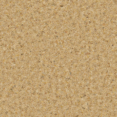 Natural Berber Elite Carpet By Cormar