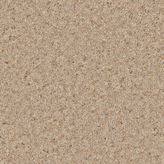 Natural Berber Elite Carpet By Cormar