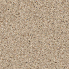 Natural Berber Elite Carpet By Cormar