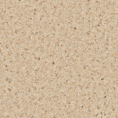 Natural Berber Elite Carpet By Cormar