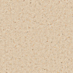 Natural Berber Elite Carpet By Cormar