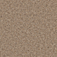Natural Berber Elite Carpet By Cormar
