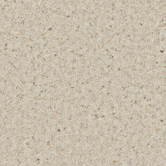 Natural Berber Elite Carpet By Cormar