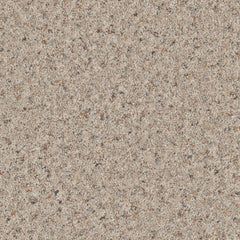 Natural Berber Elite Carpet By Cormar