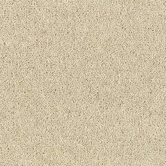 Royal Charter Deluxe Wilton Royal Carpet by Abingdon