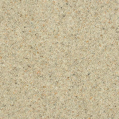 Charter Berber Deluxe Wilton Royal Carpet by Abingdon