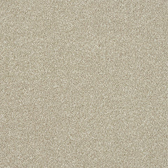 Staifree Ultra Carpet by Abingdon