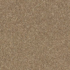 Royal Charter Deluxe Wilton Royal Carpet by Abingdon