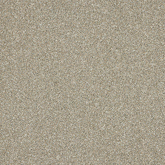 Stainfree Knightsbridge Berber by Abingdon