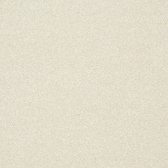 Stainfree Twist Carpet by Abingdon