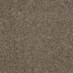 Charter Berber Deluxe Wilton Royal Carpet by Abingdon