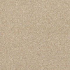 Balta Pinnacle Carpet
