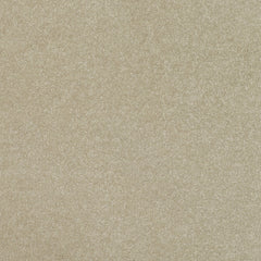 Balta Pinnacle Carpet