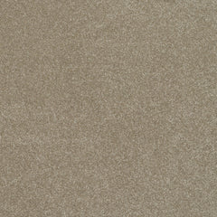 Balta Pinnacle Carpet