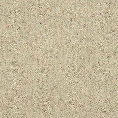 Charter Berber Deluxe Wilton Royal Carpet by Abingdon