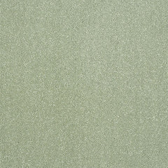Stainfree Captivation Carpet by Abingdon