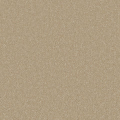 Silken Serenity Carpet By Cormar