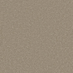 Silken Serenity Carpet By Cormar