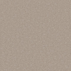 Silken Serenity Carpet By Cormar