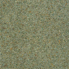Charter Berber Deluxe Wilton Royal Carpet by Abingdon
